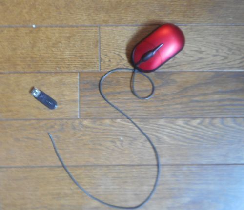 150823mouse.JPG